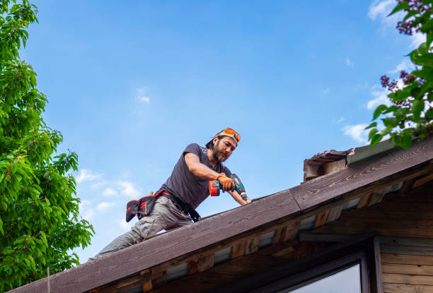 Best Roof Installation  in Coal City, IL