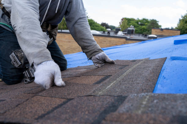 Steel Roofing in Coal City, IL