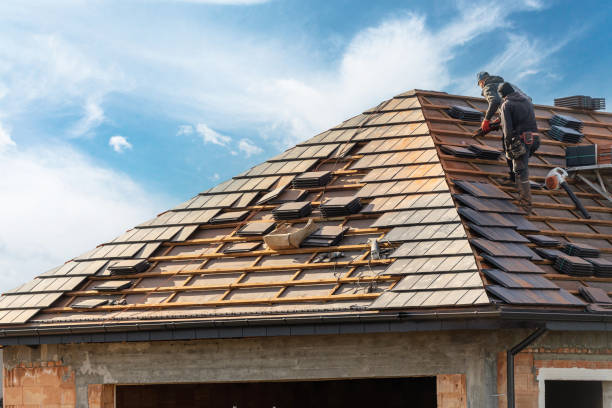 Best Emergency Roof Repair Services  in Coal City, IL