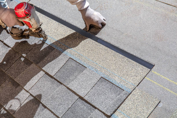 Best Roof Ventilation Installation  in Coal City, IL
